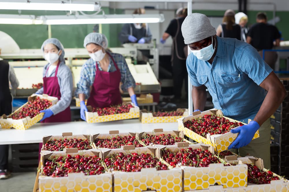 Food Handler Guide Definition, Responsibilities, Training, Card, and More